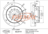 BRAKE DISC REAR PAIR BD-2919