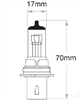 HB1 Globe 12V 65/45W Standard - 1 Pce