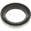 Oil Seal