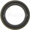 Oil Seal