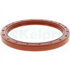 Oil Seal