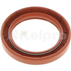 Oil Seal