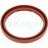 Oil Seal