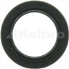 Oil Seal