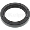 Oil Seal