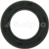 Oil Seal