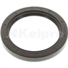 Oil Seal