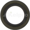 Oil Seal