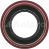 Oil Seal