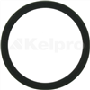 Oil Seal