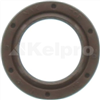 Oil Seal