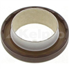 Oil Seal