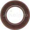 Oil Seal