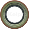 Oil Seal