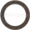 Oil Seal