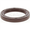 Oil Seal