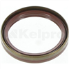 Oil Seal