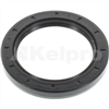 Oil Seal