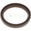 Oil Seal