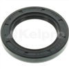 Oil Seal