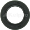 Oil Seal