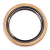 Oil Seal