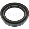 Oil Seal