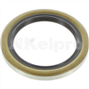 Oil Seal