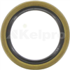 Oil Seal