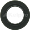 Oil Seal