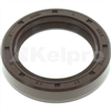 Oil Seal