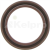 Oil Seal