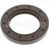 Oil Seal