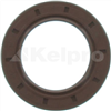 Oil Seal