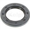 Oil Seal