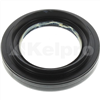 Oil Seal