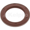 Oil Seal