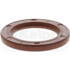 Oil Seal