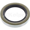 Oil Seal