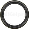 Oil Seal