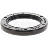 Oil Seal