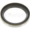 Oil Seal