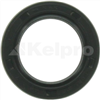 Oil Seal