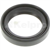 Oil Seal