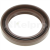 Oil Seal