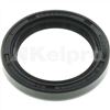 Oil Seal