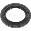 Oil Seal