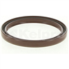 Oil Seal