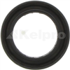 Oil Seal