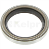 Oil Seal